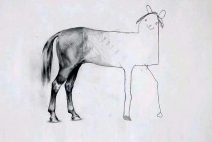 unfinished horse drawing